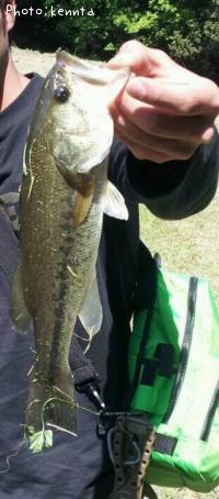 ¥Ö¥é¥Ã¥¯¥Ð¥¹