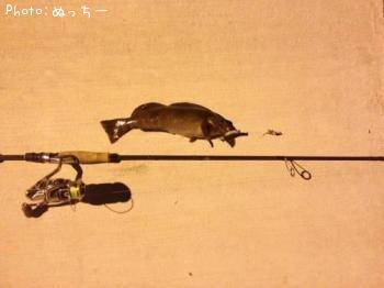 �����ʥ�