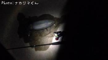 �����ꥤ��