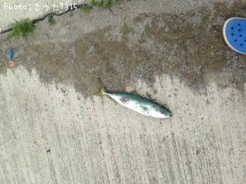 ���ʥ���