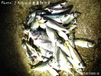 ���С����̡���������Х�