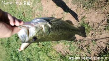 ¥Ö¥é¥Ã¥¯¥Ð¥¹