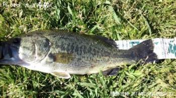 ¥Ö¥é¥Ã¥¯¥Ð¥¹