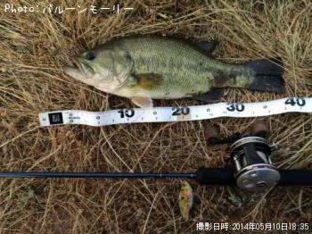 �֥�å��Х�