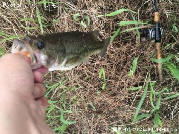 �֥�å��Х�