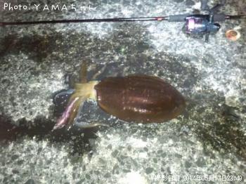 �����ꥤ��