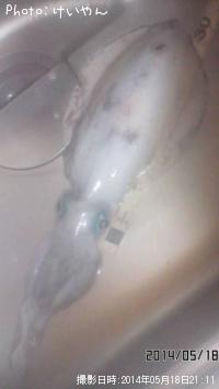 �����ꥤ��