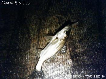 �����Х�