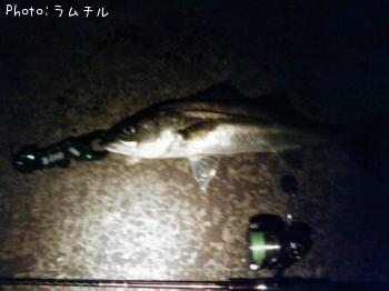 �����Х�