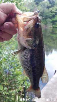 �֥�å��Х�