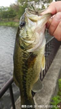 �֥�å��Х�