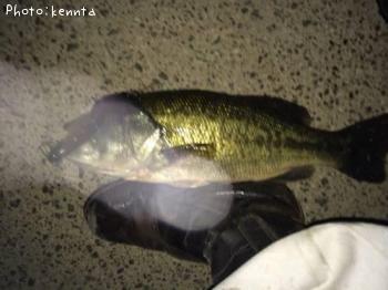 �֥�å��Х�