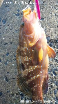 �����ϥ�