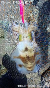 �����ꥤ��