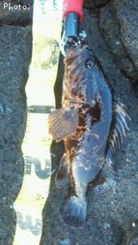 �����Υ���Х�