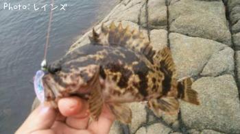 �����Υ���Х�