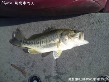 �֥�å��Х�