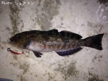 �����ʥ�