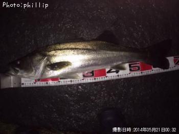 �����Х�