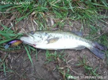 ¥Ö¥é¥Ã¥¯¥Ð¥¹