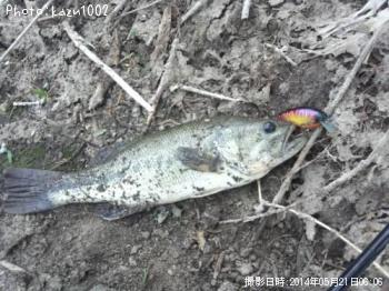 ¥Ö¥é¥Ã¥¯¥Ð¥¹