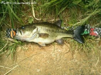 �顼���ޥ����Х�