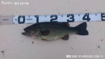 �֥�å��Х�