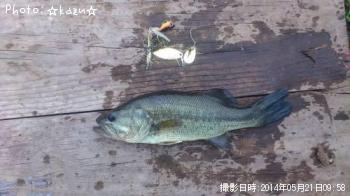 �֥�å��Х�