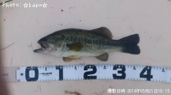 �֥�å��Х�