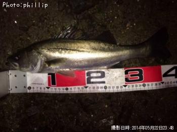 �����Х�