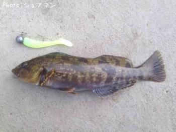 �����ʥ�