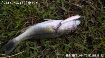 ¥Ö¥é¥Ã¥¯¥Ð¥¹