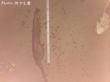 �ʥޥ�