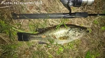 �֥�å��Х�