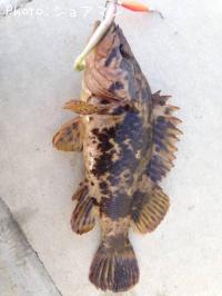 �٥å�������