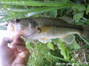 �֥�å��Х�