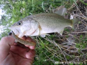 �֥�å��Х�