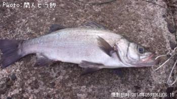 �ҥ饹����