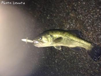 ¥Ö¥é¥Ã¥¯¥Ð¥¹