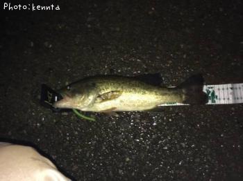 ¥Ö¥é¥Ã¥¯¥Ð¥¹