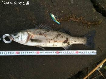 �����Х�