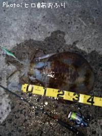 �����ꥤ��