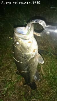 ¥Ö¥é¥Ã¥¯¥Ð¥¹