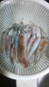 ¥Ò¥¤¥«¡õ¥ä¥ê¥¤¥«