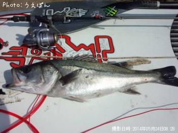 �����Х�