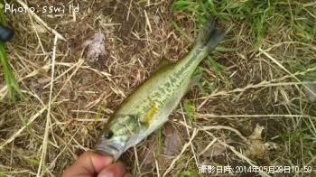 �֥�å��Х�