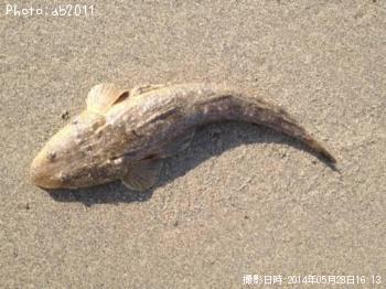 �ޥ����פ�