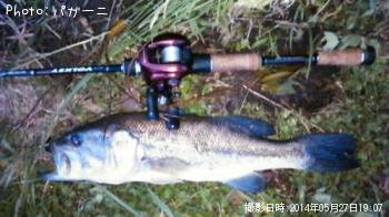 �֥�å��Х�