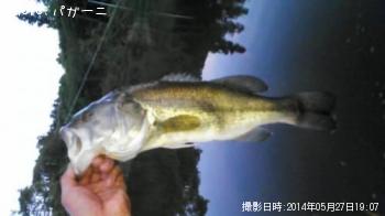 �֥�å��Х�