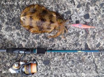 �����ꥤ��